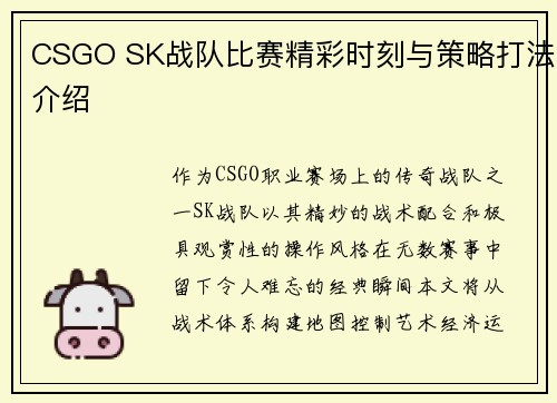 CSGO SK战队比赛精彩时刻与策略打法介绍